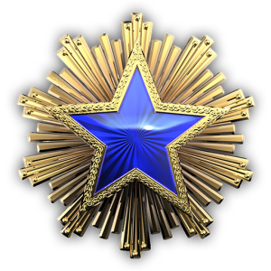 2016 Service Medal