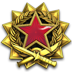 2017 Service Medal